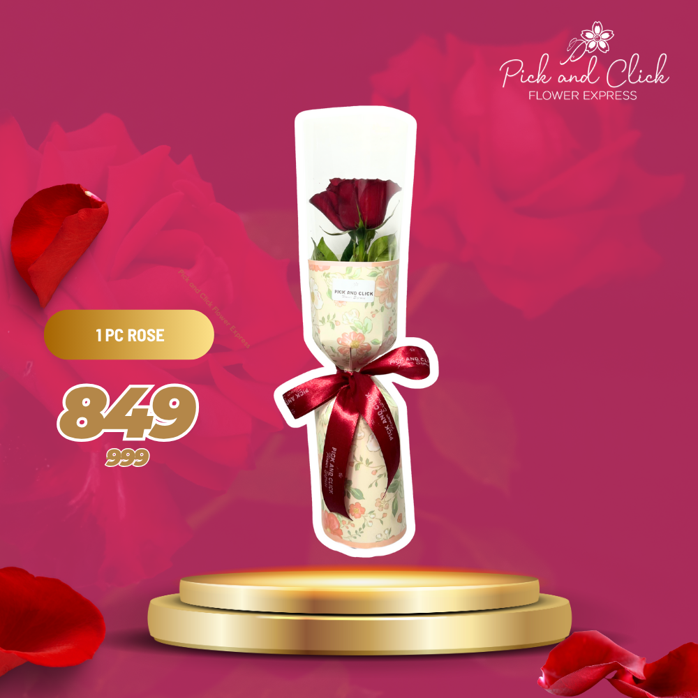 1 pc imported red china rose