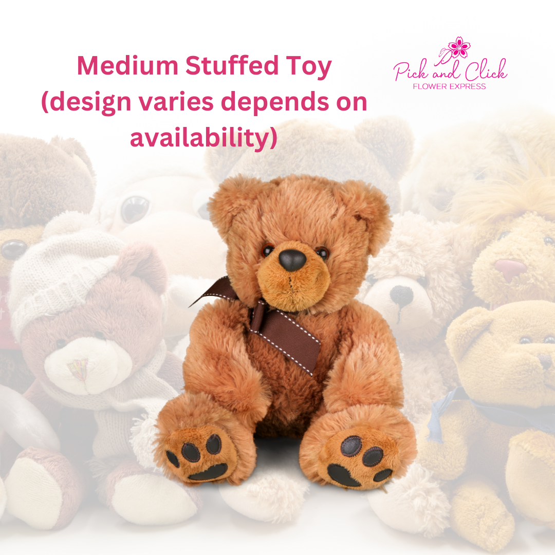Medium Stuffed Toy