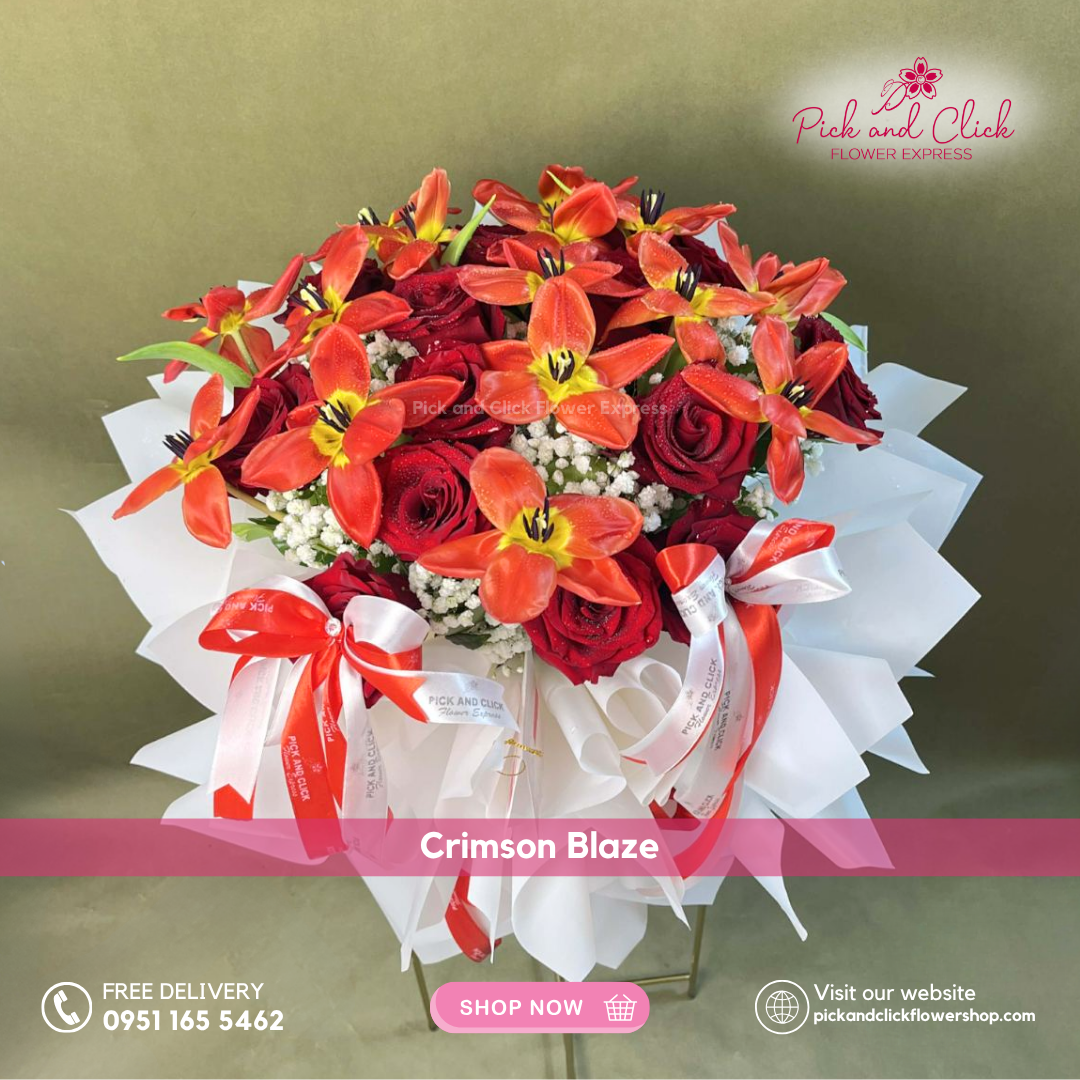 Crimson Blaze bouquet featuring 15 Ecuadorian roses, 15 red tulips, and gypsophila arranged in a luxurious big hand bouquet for premium gifting and romantic celebrations.