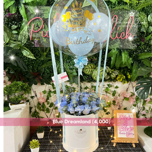 Box arrangement of blue-sprayed white China rose with balloons and bobo balloon bouquet