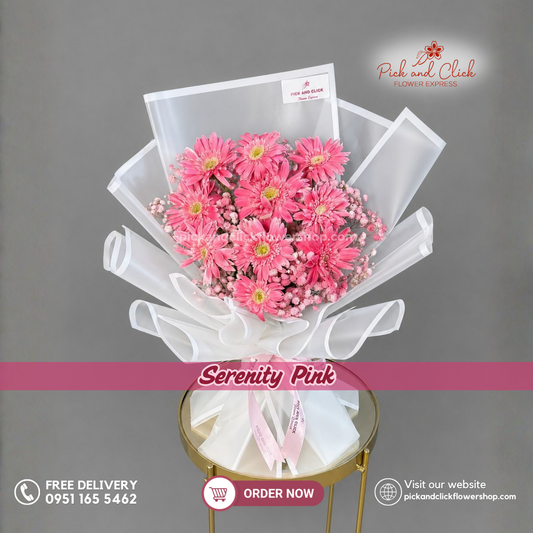 Serenity Pink Bouquet featuring 10 Pink Gerberas with Pink-Sprayed Gypsophila in a soft pink flower bouquet in the Philippines.